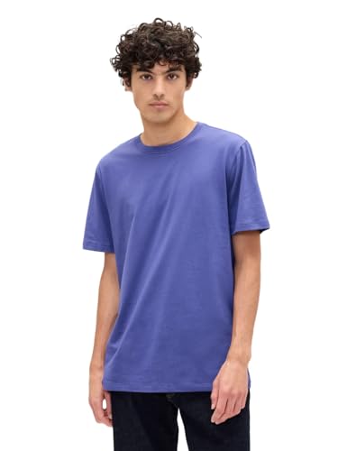 Gap Mens Everyday Soft Crewneck T-Shirt Tee
