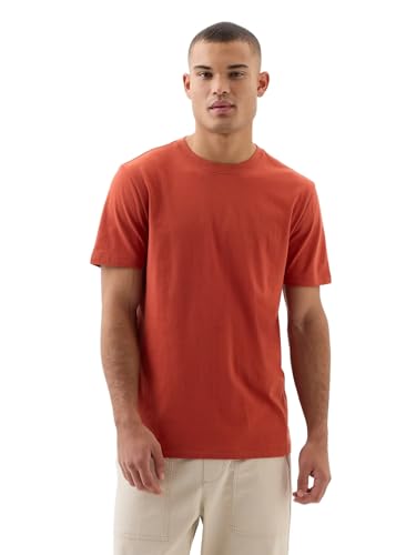 Gap Mens Everyday Soft Crewneck T-Shirt Tee