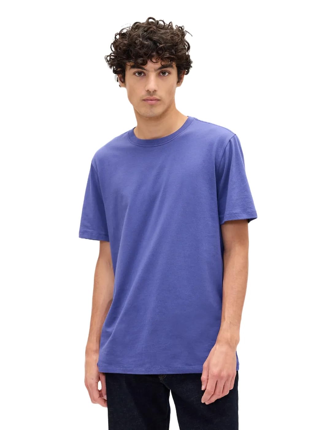 Gap Mens Everyday Soft Crewneck T-Shirt Tee