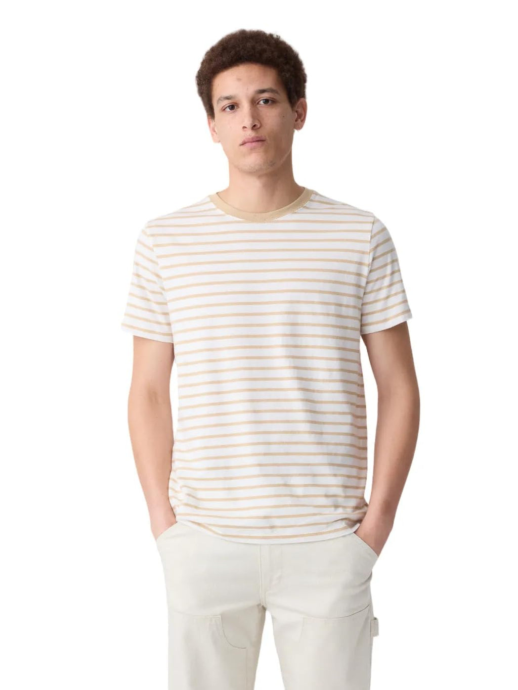 Gap Mens Everyday Soft Crewneck T-Shirt Tee