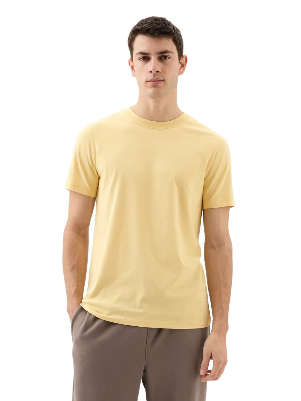 Gap Mens Everyday Soft Crewneck T-Shirt Tee