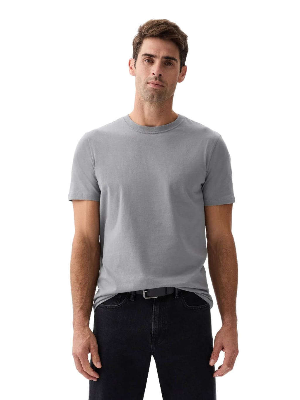Gap Mens Everyday Soft Crewneck T-Shirt Tee