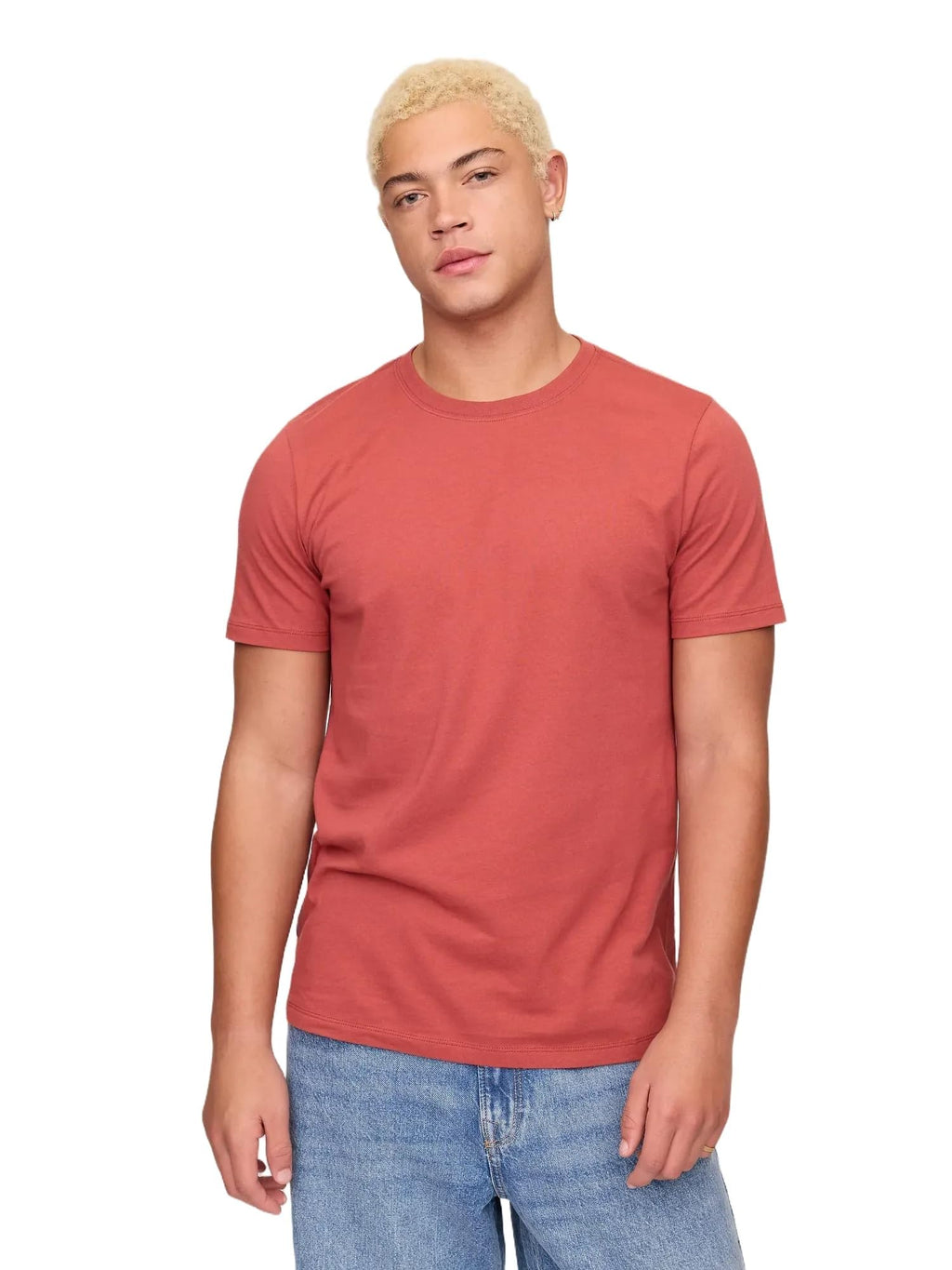Gap Mens Everyday Soft Crewneck T-Shirt Tee