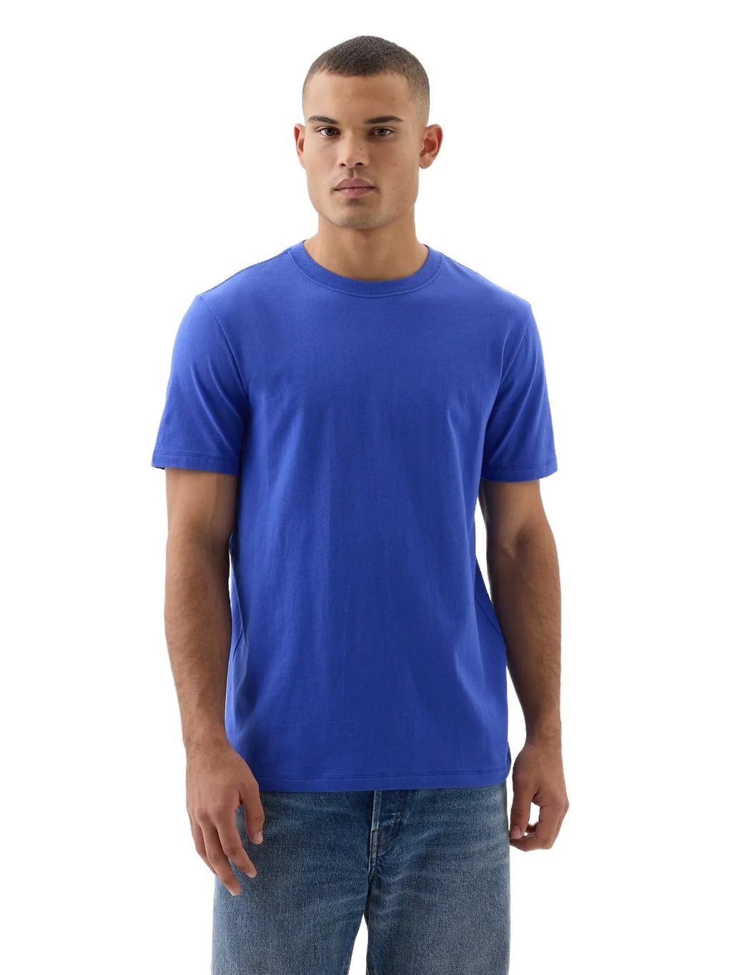 Gap Mens Everyday Soft Crewneck T-Shirt Tee