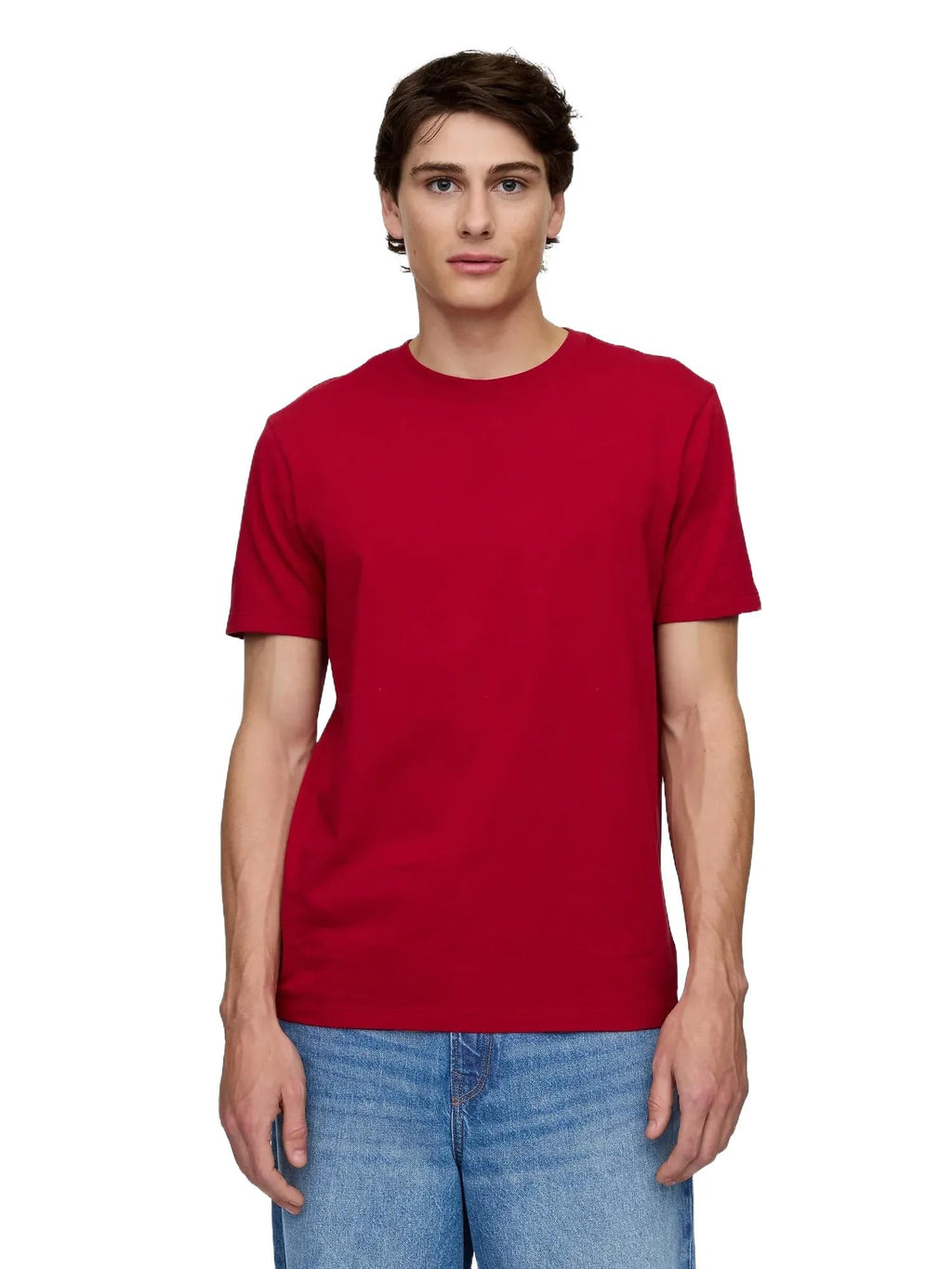 Gap Mens Everyday Soft Crewneck T-Shirt Tee